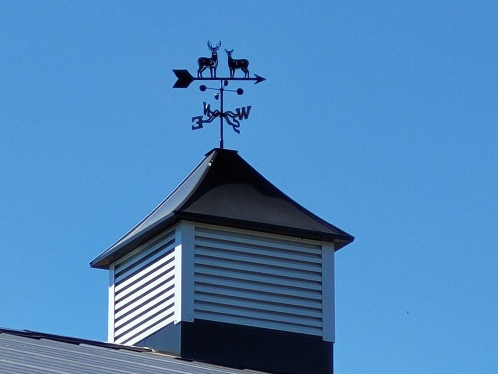metal roof with cupola deer